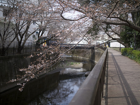 東宝撮影所1