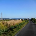 大和川畔の道 (2)