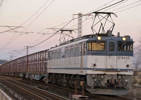 _DSC5671