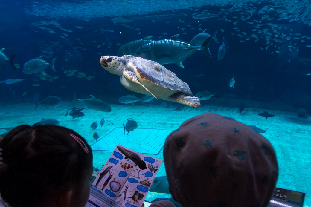 写真: IMG_6149