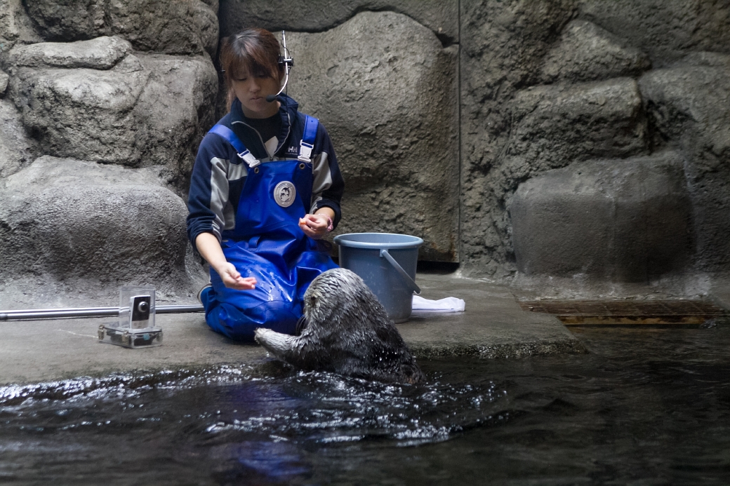 写真: IMG_6261