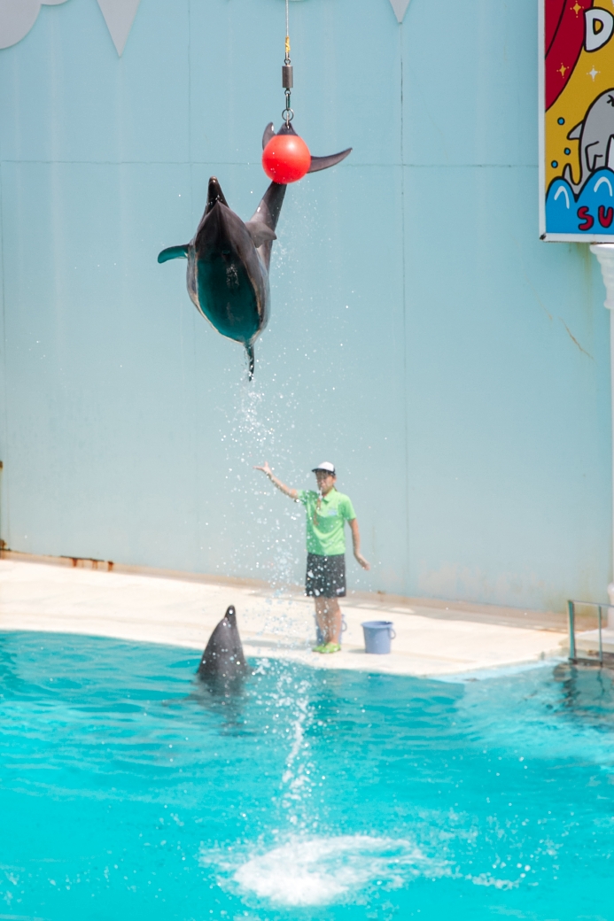 写真: IMG_6306