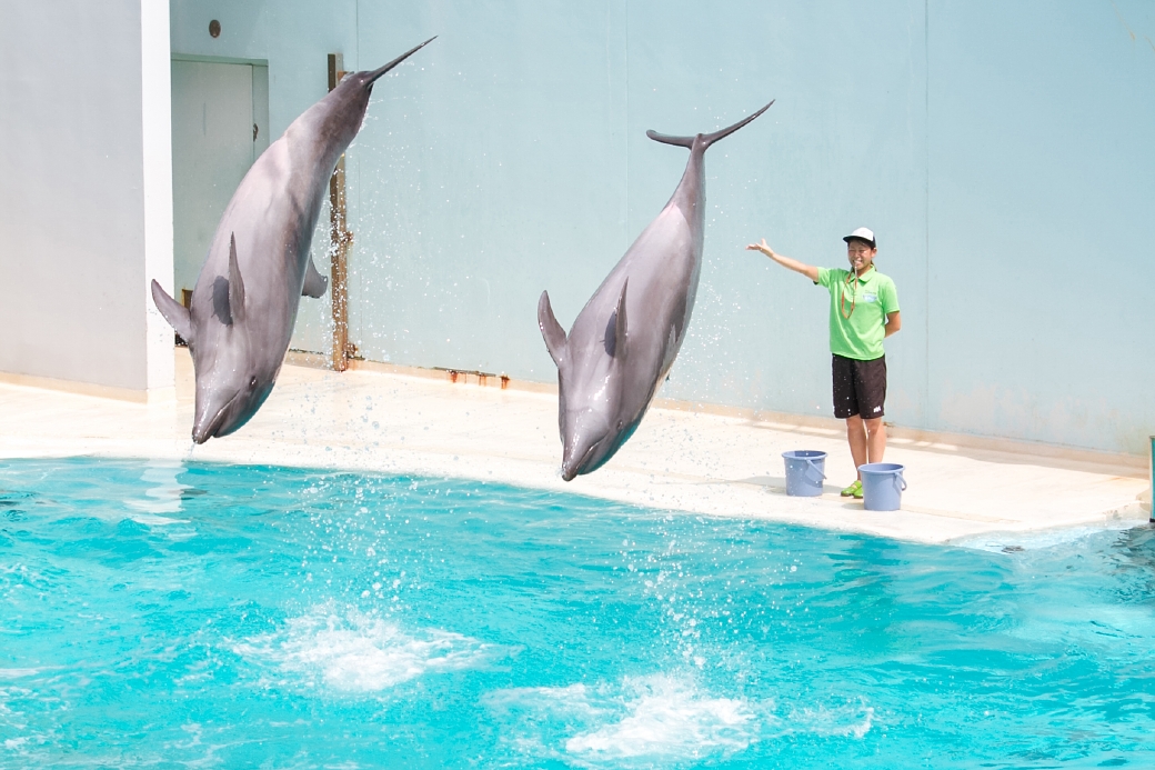 写真: IMG_6390