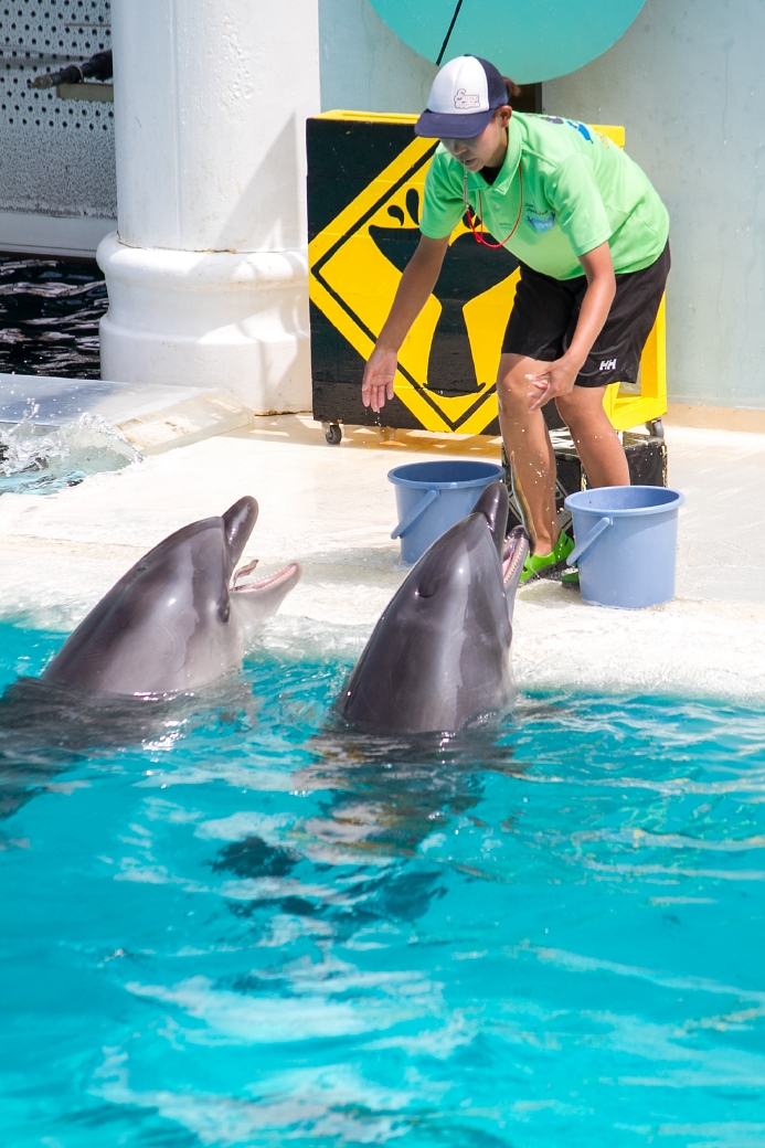 写真: IMG_6404