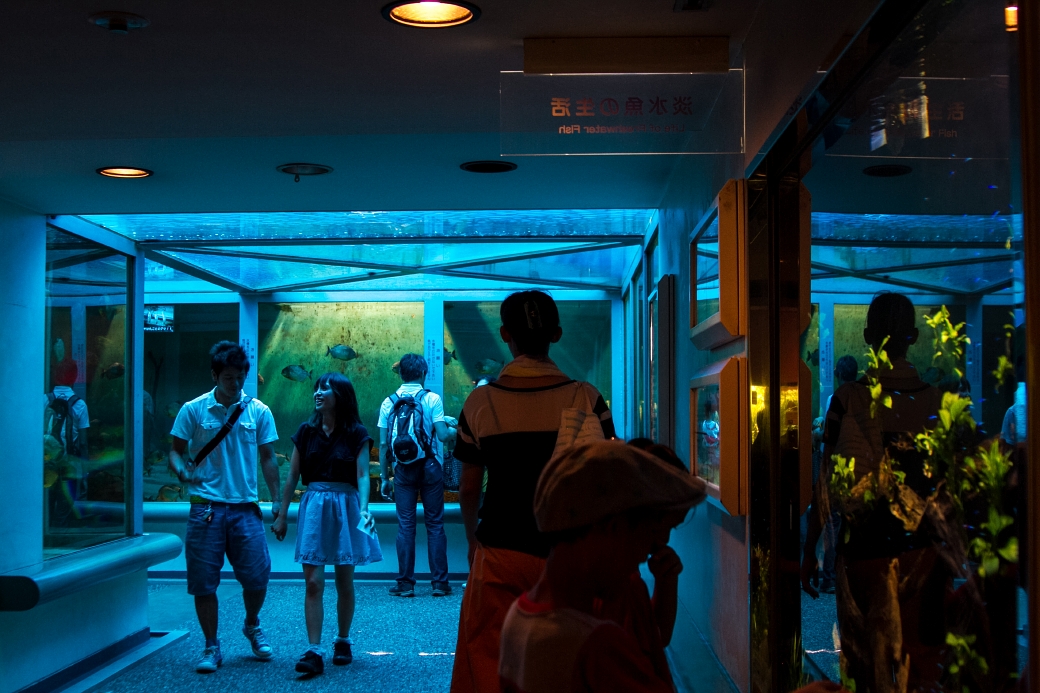 写真: IMG_6512