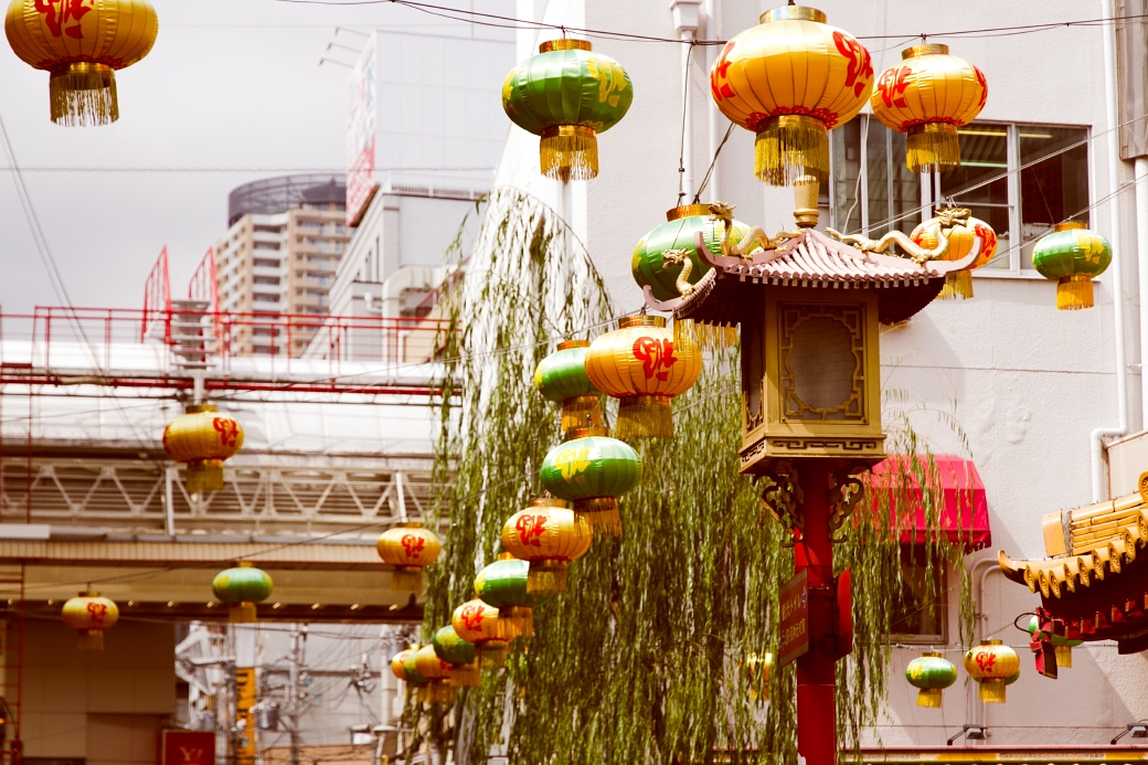 写真: IMG_6660