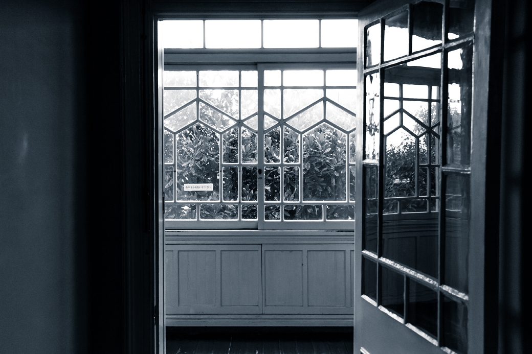 写真: IMG_6813