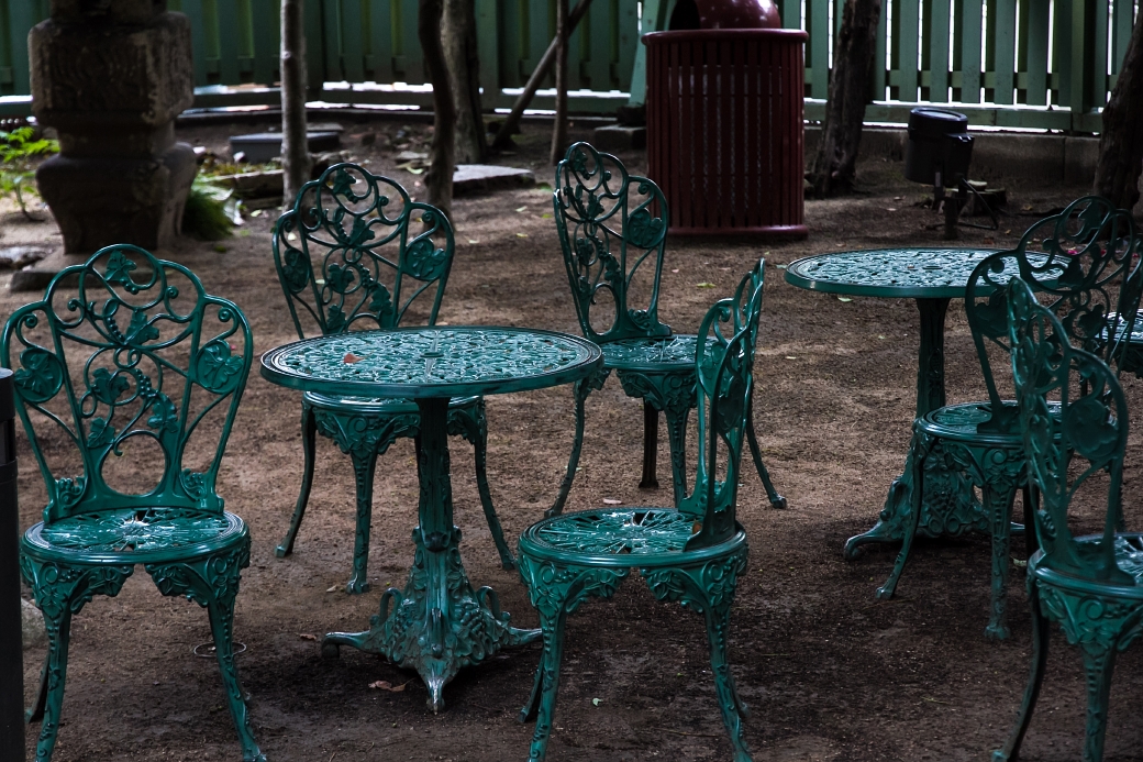 写真: IMG_6823