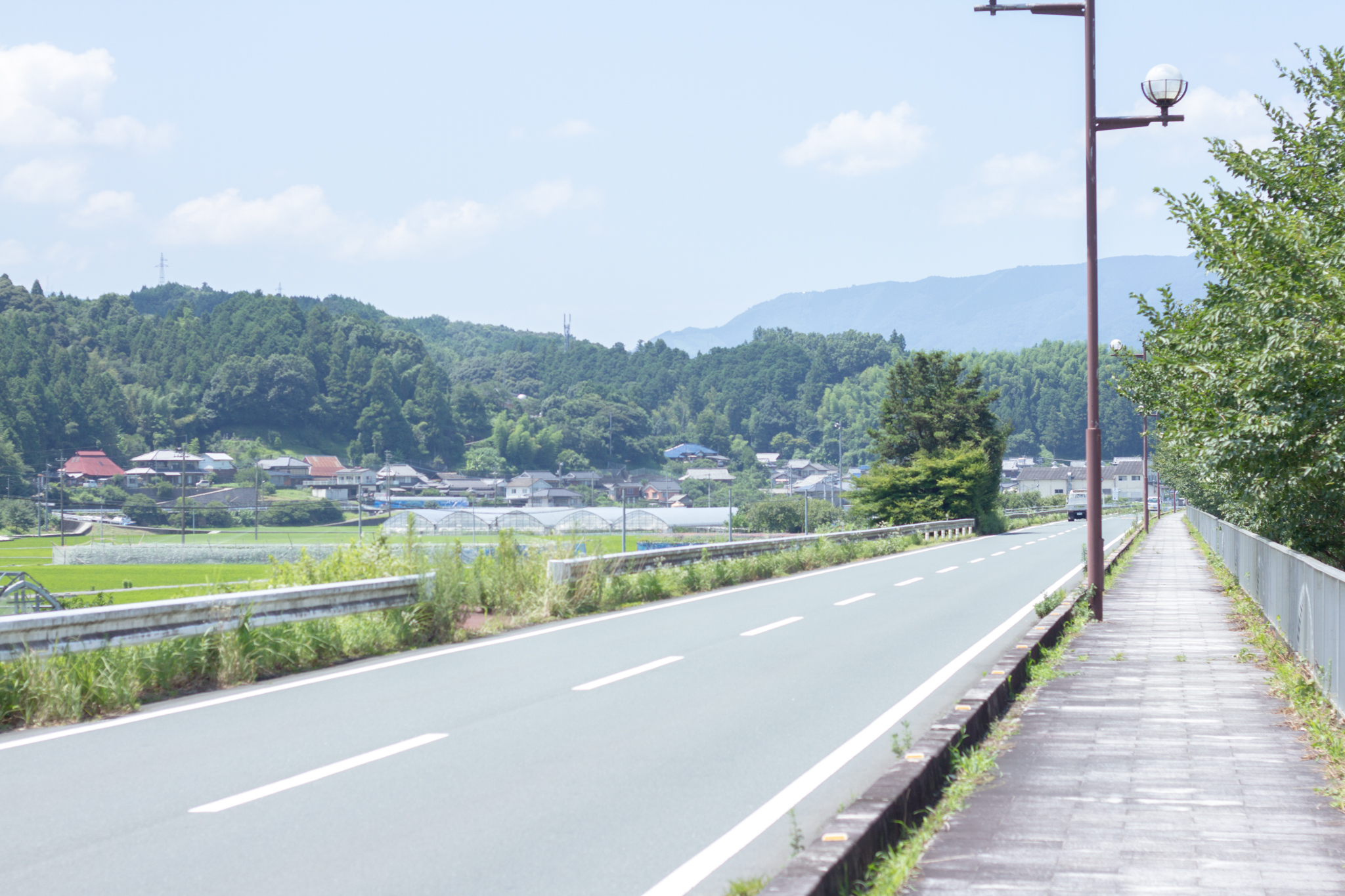 写真: IMG_8539