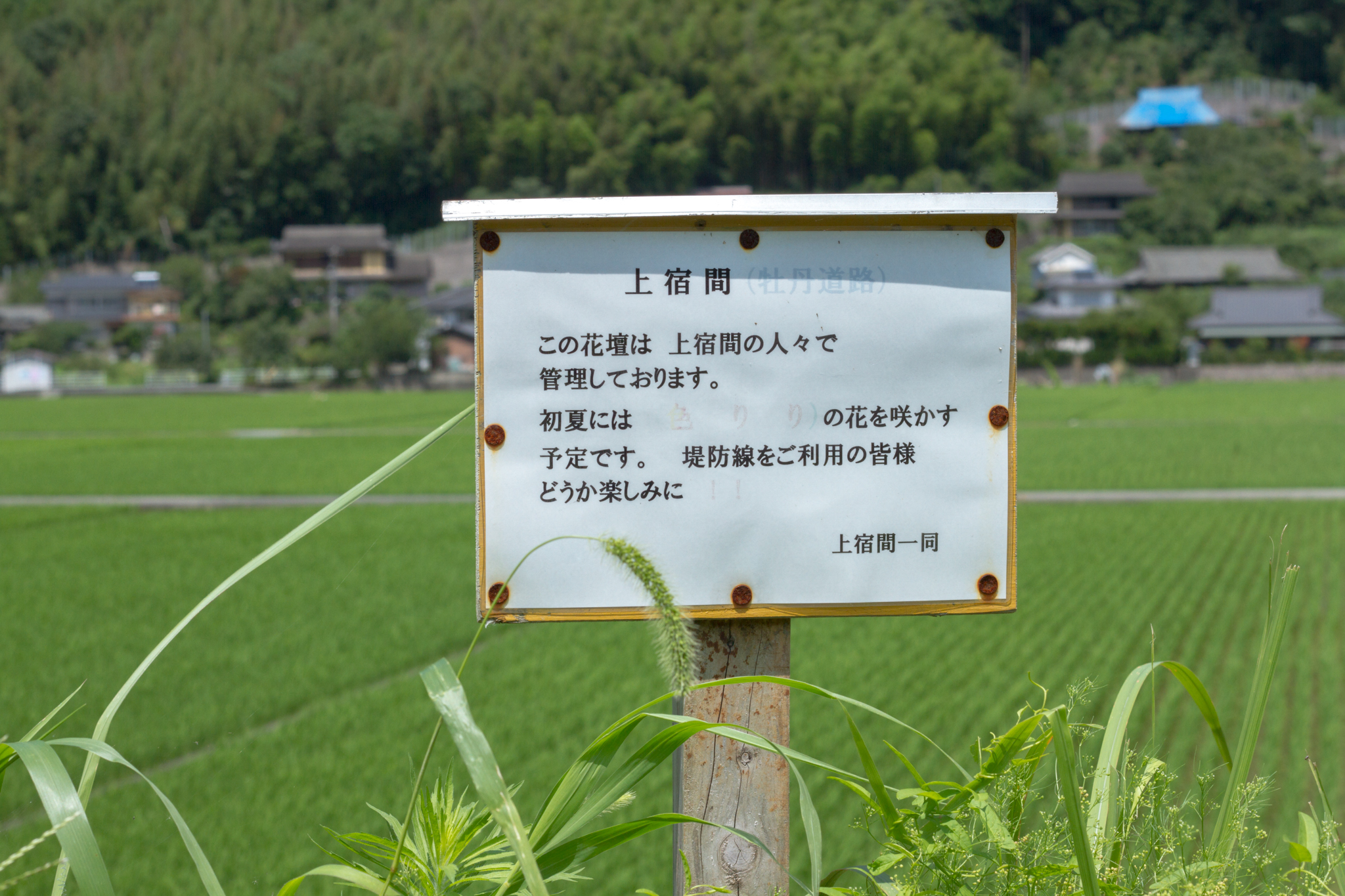 写真: IMG_8561