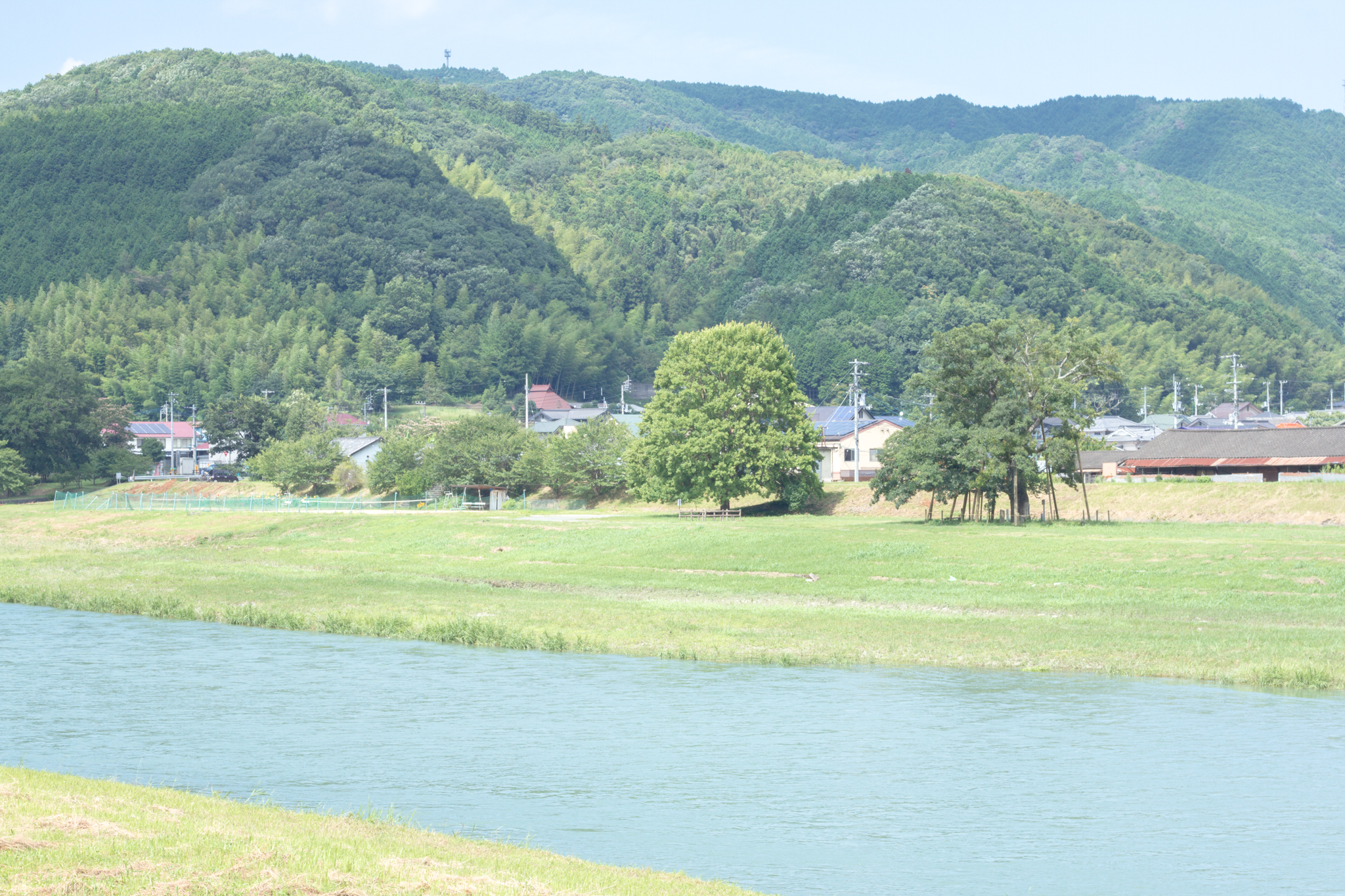 写真: IMG_8639