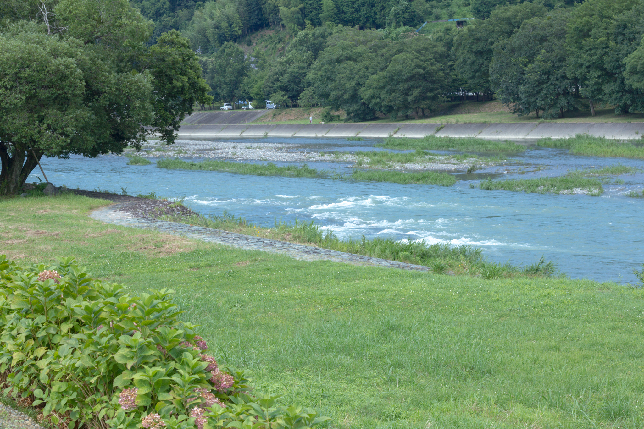 写真: IMG_8641