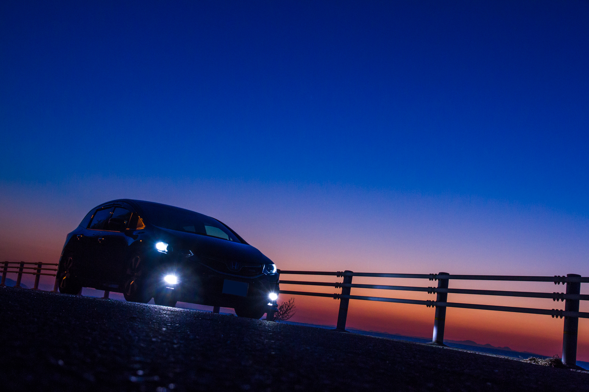 写真: IMG_6863