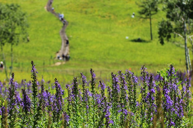 15IMG_1420