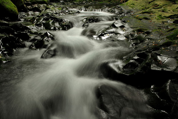 06IMG_1512