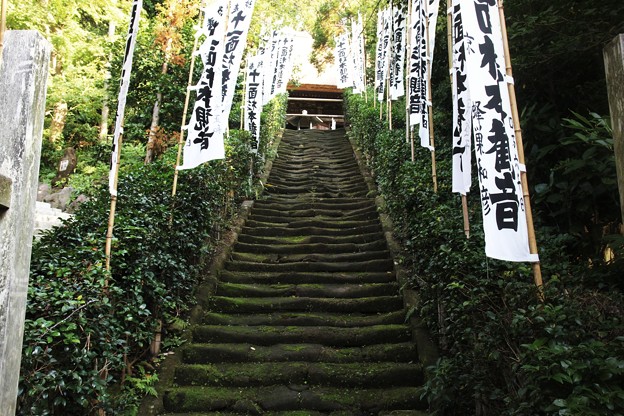 苔むす参道