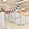 Photos: DSC_8629