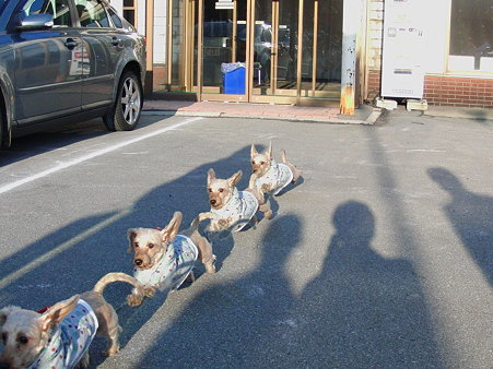 MAKIGO