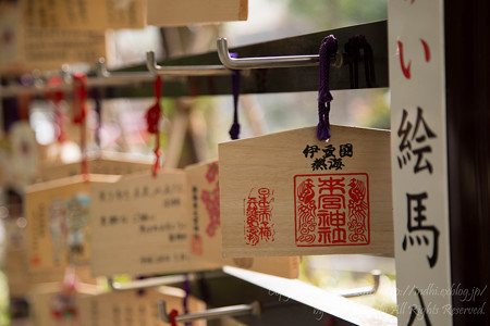 来宮神社 絵馬