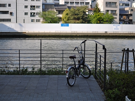 忘られた自転車