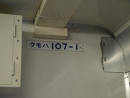 日光線107系車内