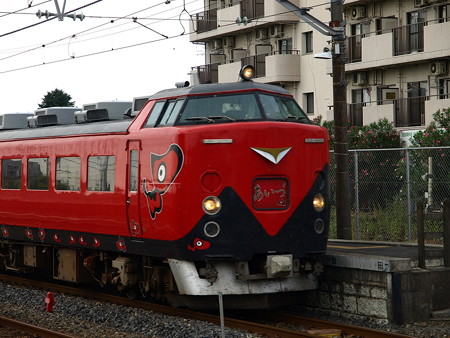 485系特急あいづ号(宝積寺駅)6