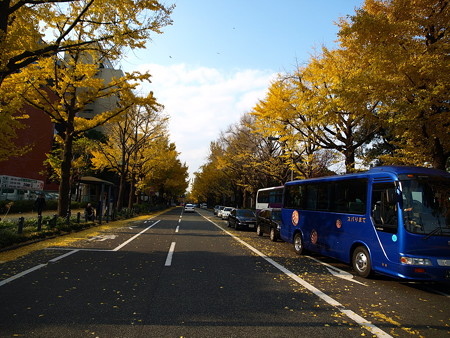 横浜55