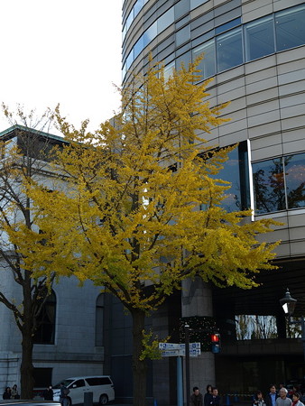 横浜58