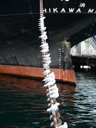 横浜79