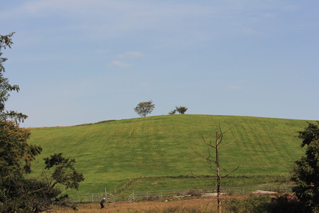 DPP_0078