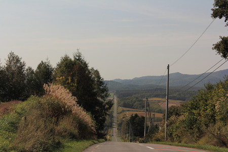 DPP_0081