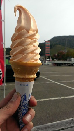 IMAG0600