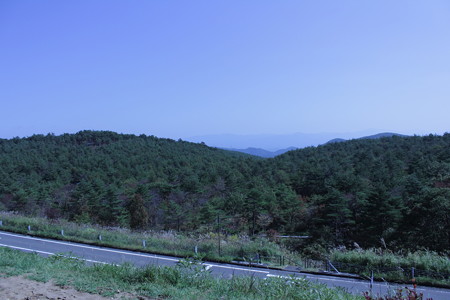 DPP_0008