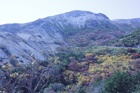 DPP_0014