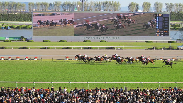 キタサンブラックがリアルスティールの追撃を凌いで優勝！