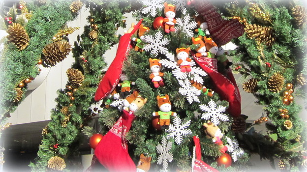 Photos: ターフィーで彩られたクリスマスツリー