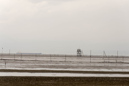 DSC_2716