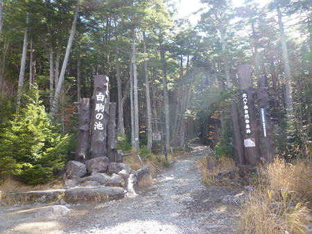 P1000197