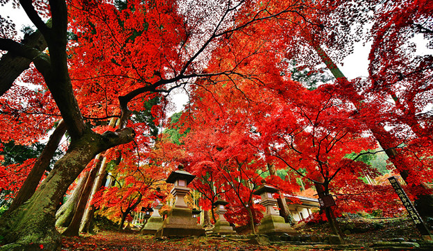写真: 160