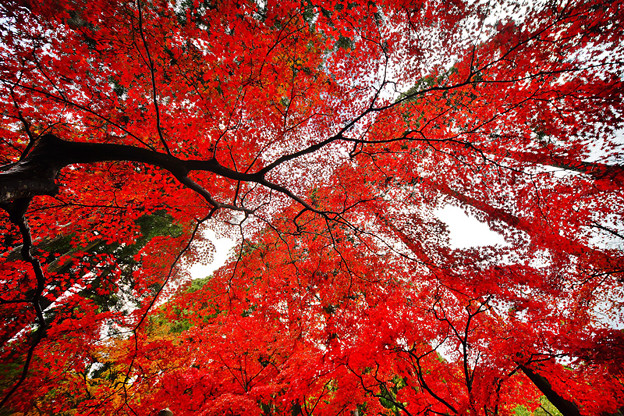 写真: DSC01038