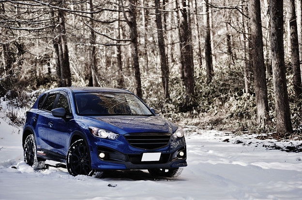 写真: DSC03269