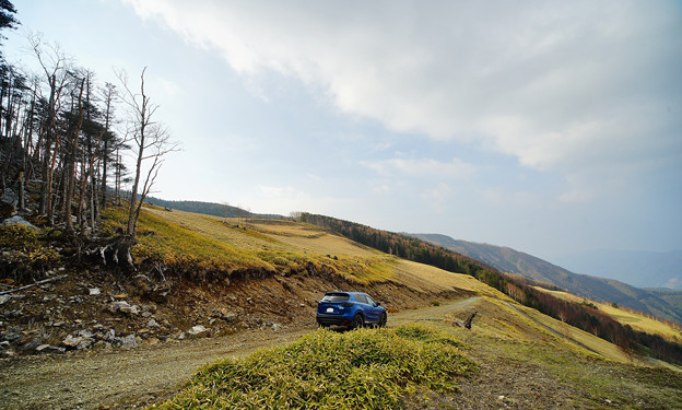 写真: DSC05010
