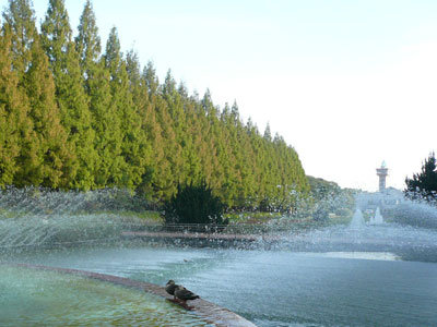 相模原公園で 噴水
