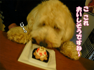 くーかい 2才の誕生日ケーキ