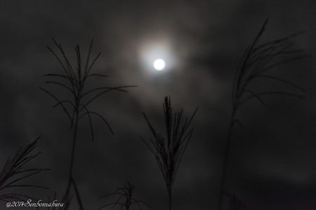 610_2170-2