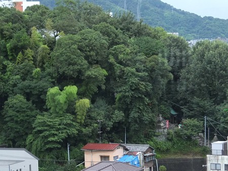 伊佐爾波神社14 素鵞社遠望