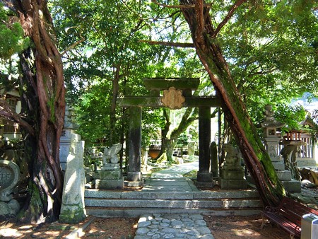 多賀神社03