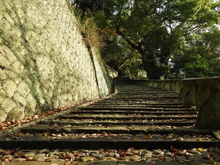 久能山東照宮15 昇竜の地形