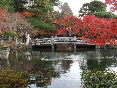 円山公園04 おや、カップルが3組(^^)