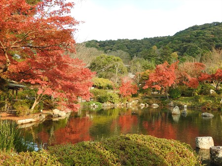 円山公園05